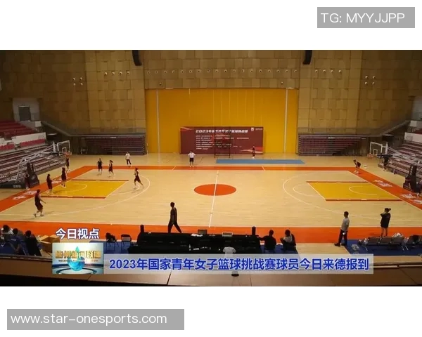 运动最新数据南京篮球队在挑战赛中的力量表现分析与点评