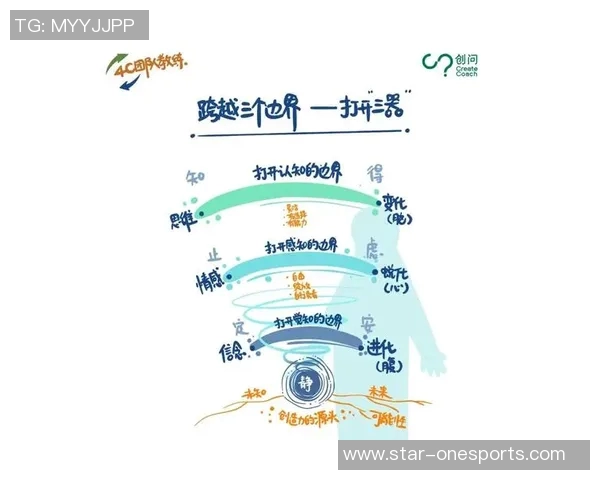 运动最新数据聚焦杭州排球队团队协作精神与默契配合的成功之道